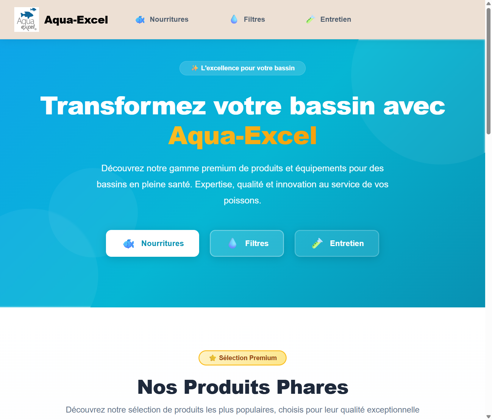 Aqua-Excel — site web réalisé par CJ Dev